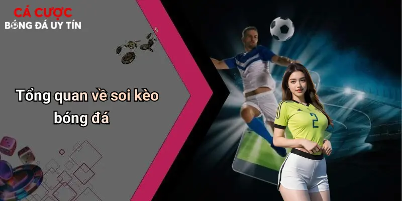 Tổng quan về soi kèo bóng đá