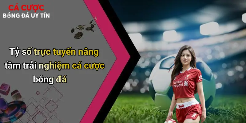 Tỷ số trực tuyến nâng tầm trải nghiệm cá cược bóng đá