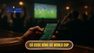 cá cược bóng đá World Cup